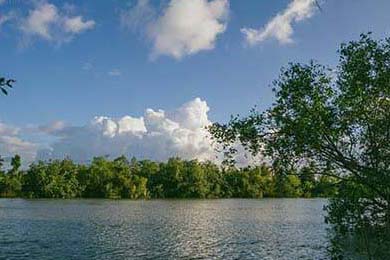 CBA联赛技术创新应用案例，cba技能素材