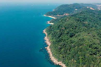 APEX英雄 新星选手崛起备受期待，apex l星